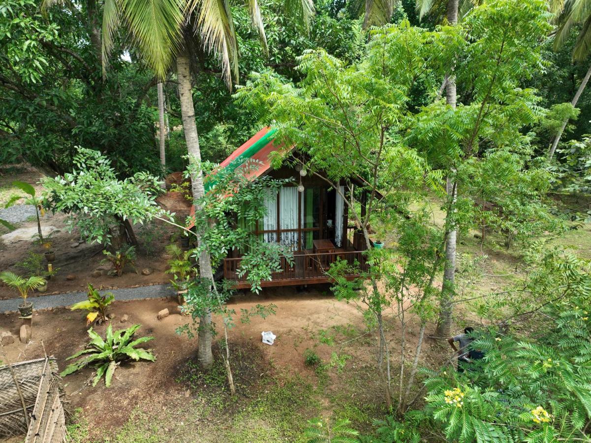 Coconut Tree House Hotel Udawalawe Luaran gambar