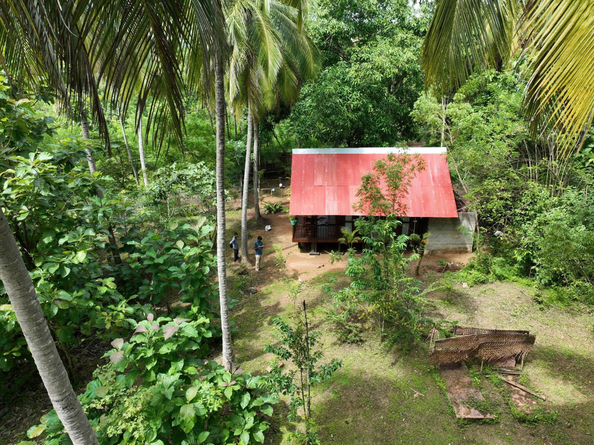 Coconut Tree House Hotel Udawalawe Luaran gambar
