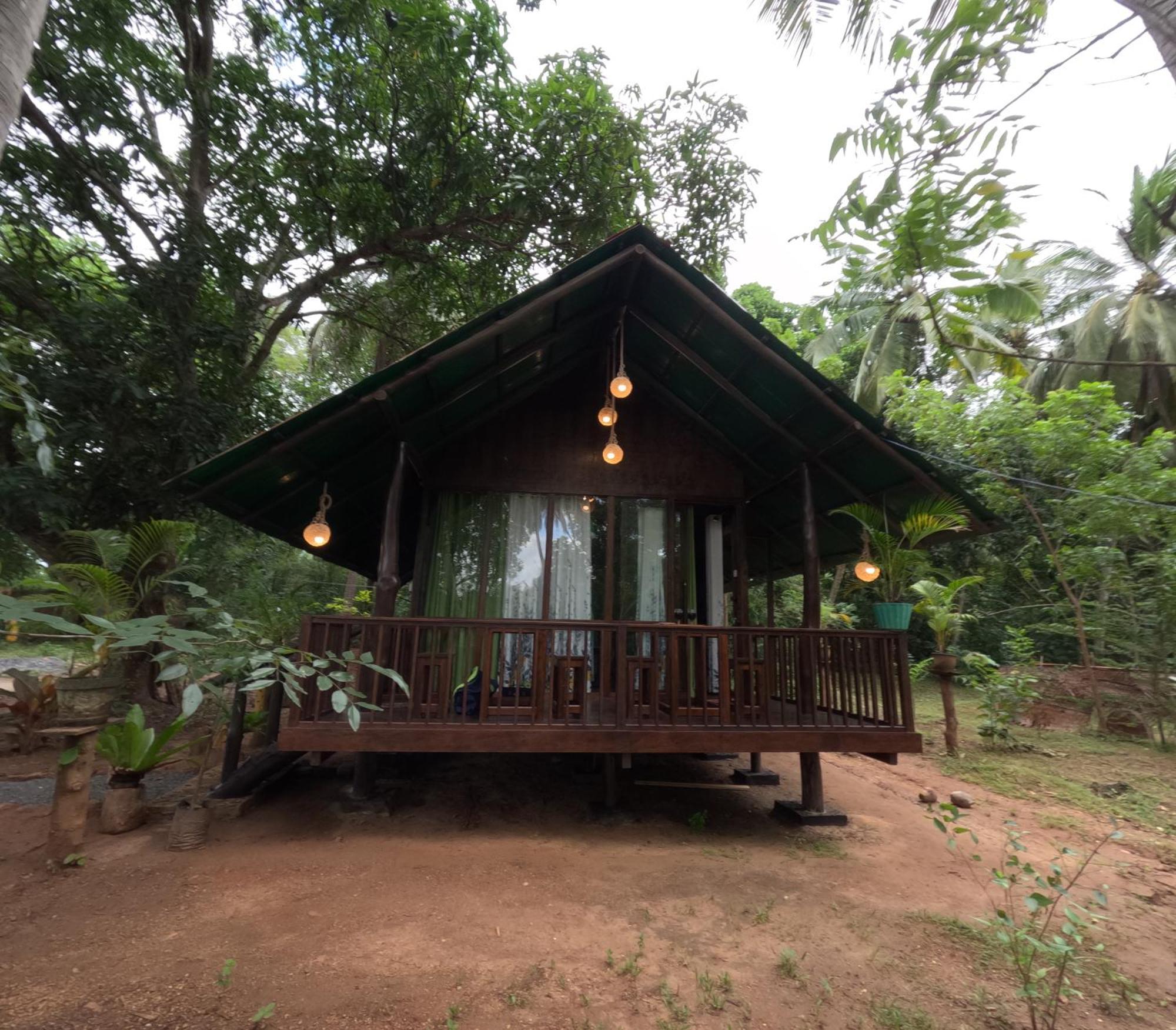 Coconut Tree House Hotel Udawalawe Luaran gambar
