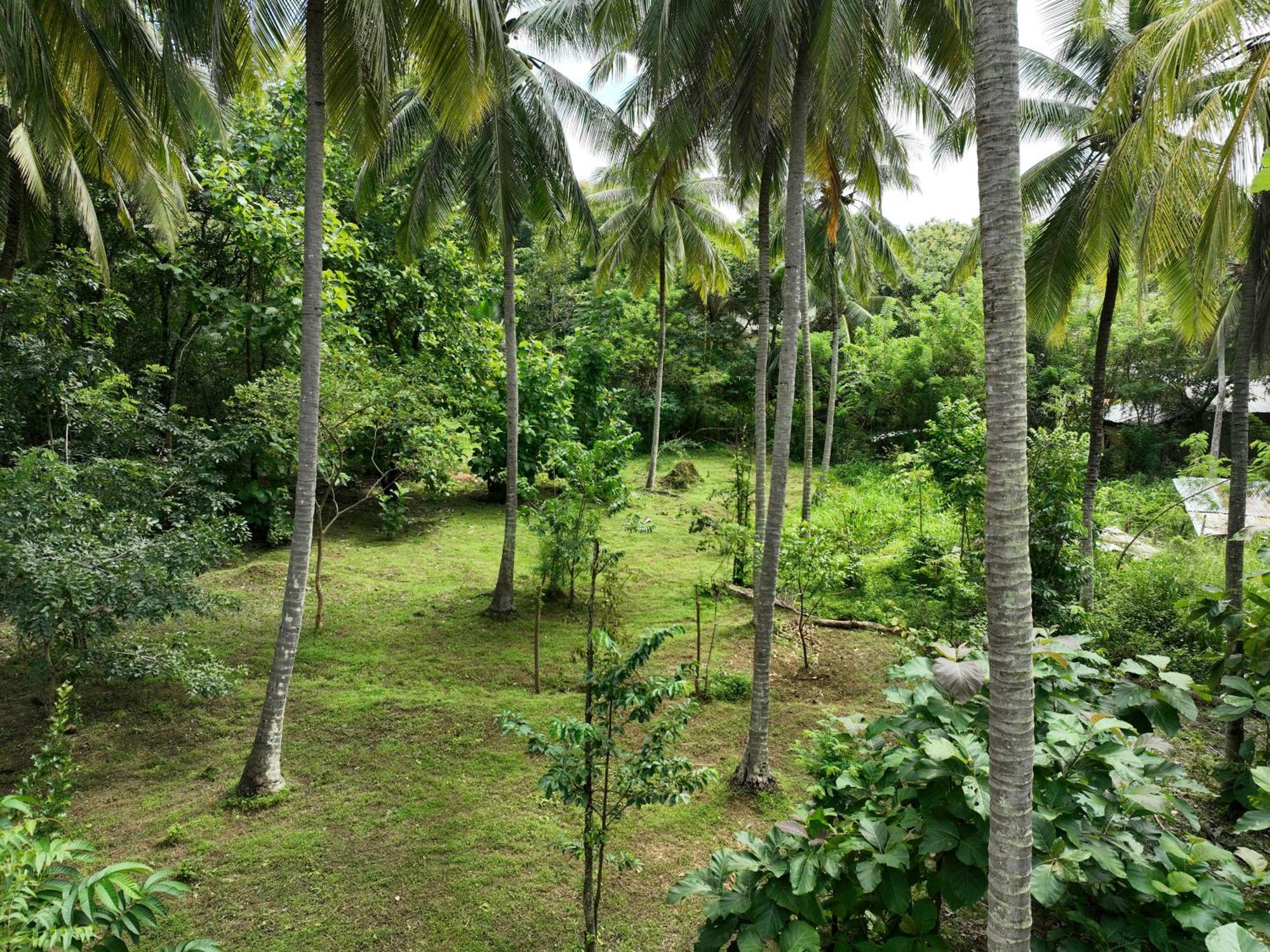 Coconut Tree House Hotel Udawalawe Luaran gambar