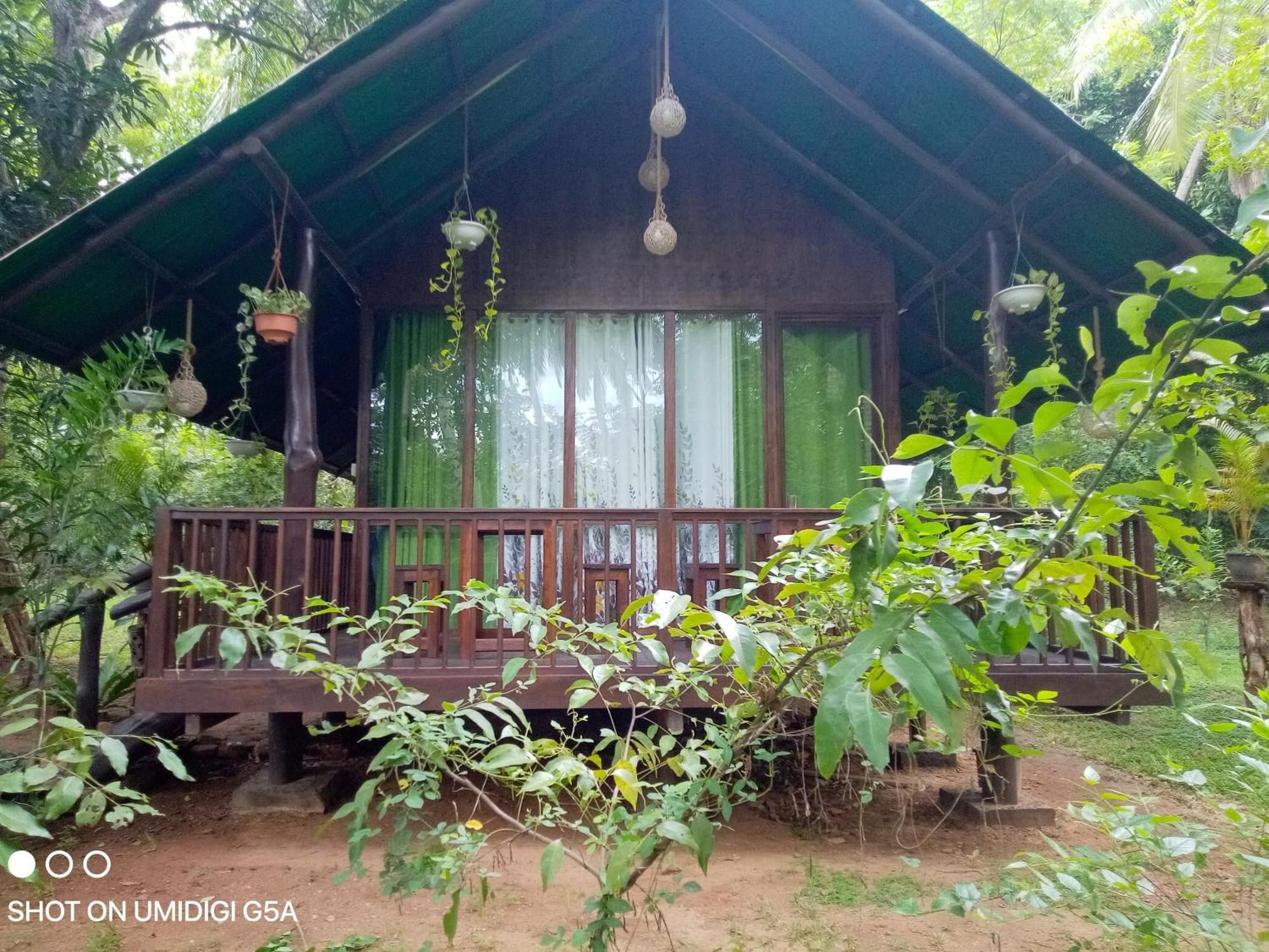 Coconut Tree House Hotel Udawalawe Luaran gambar