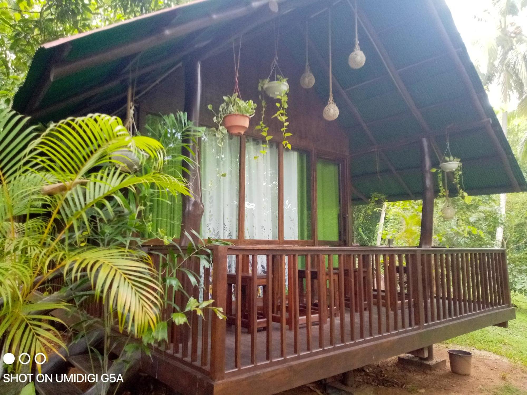 Coconut Tree House Hotel Udawalawe Luaran gambar