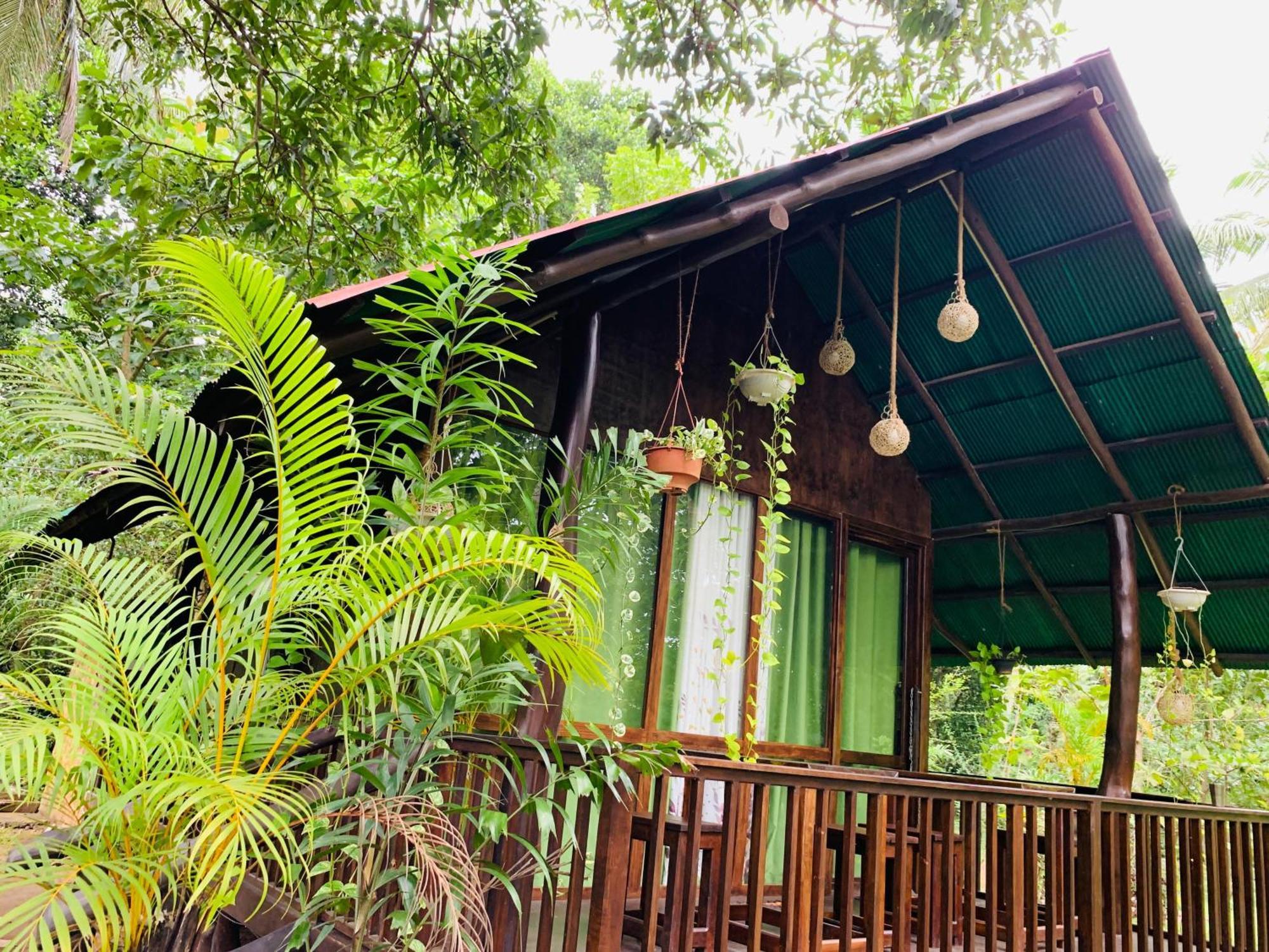 Coconut Tree House Hotel Udawalawe Luaran gambar