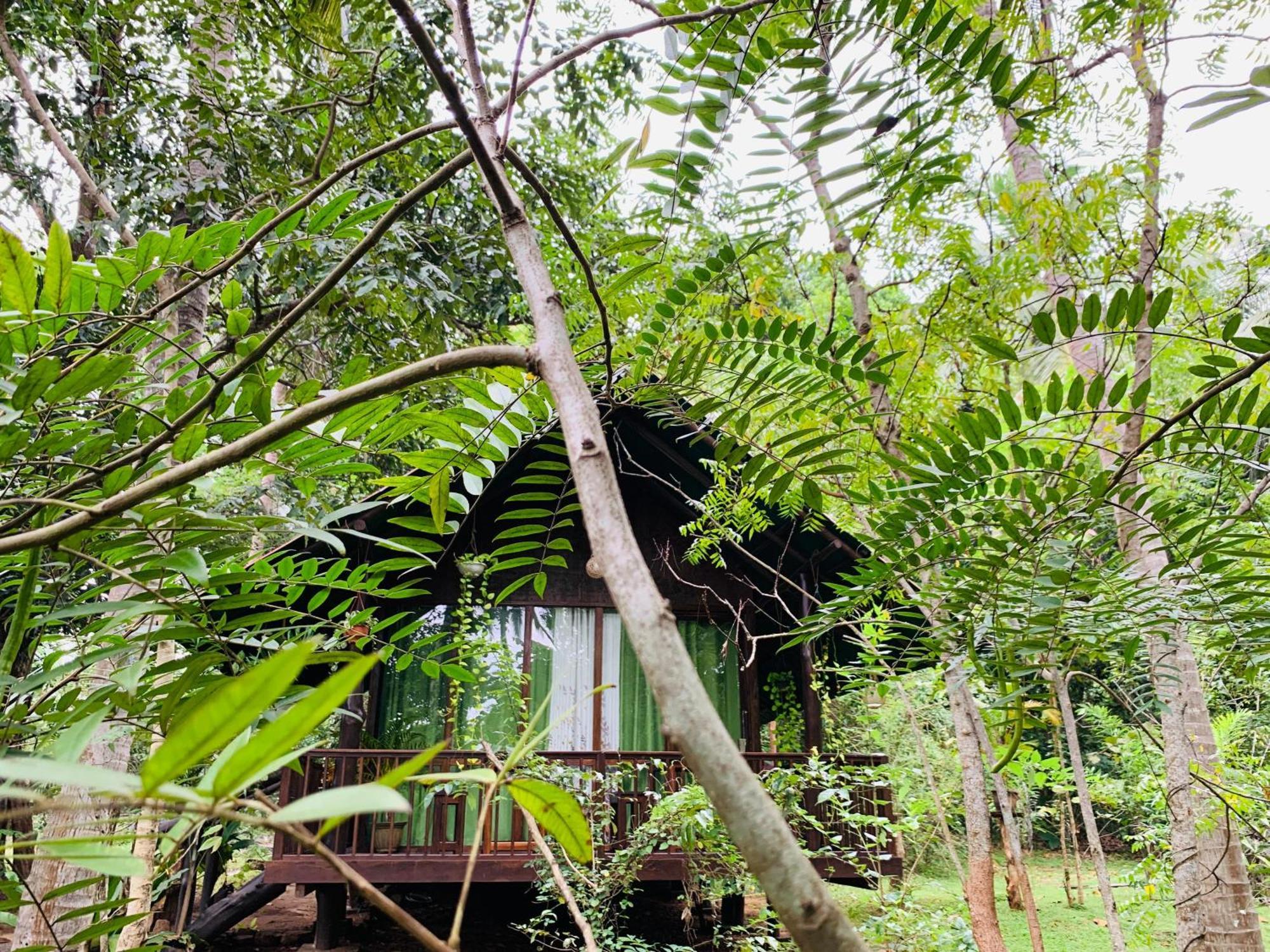 Coconut Tree House Hotel Udawalawe Luaran gambar