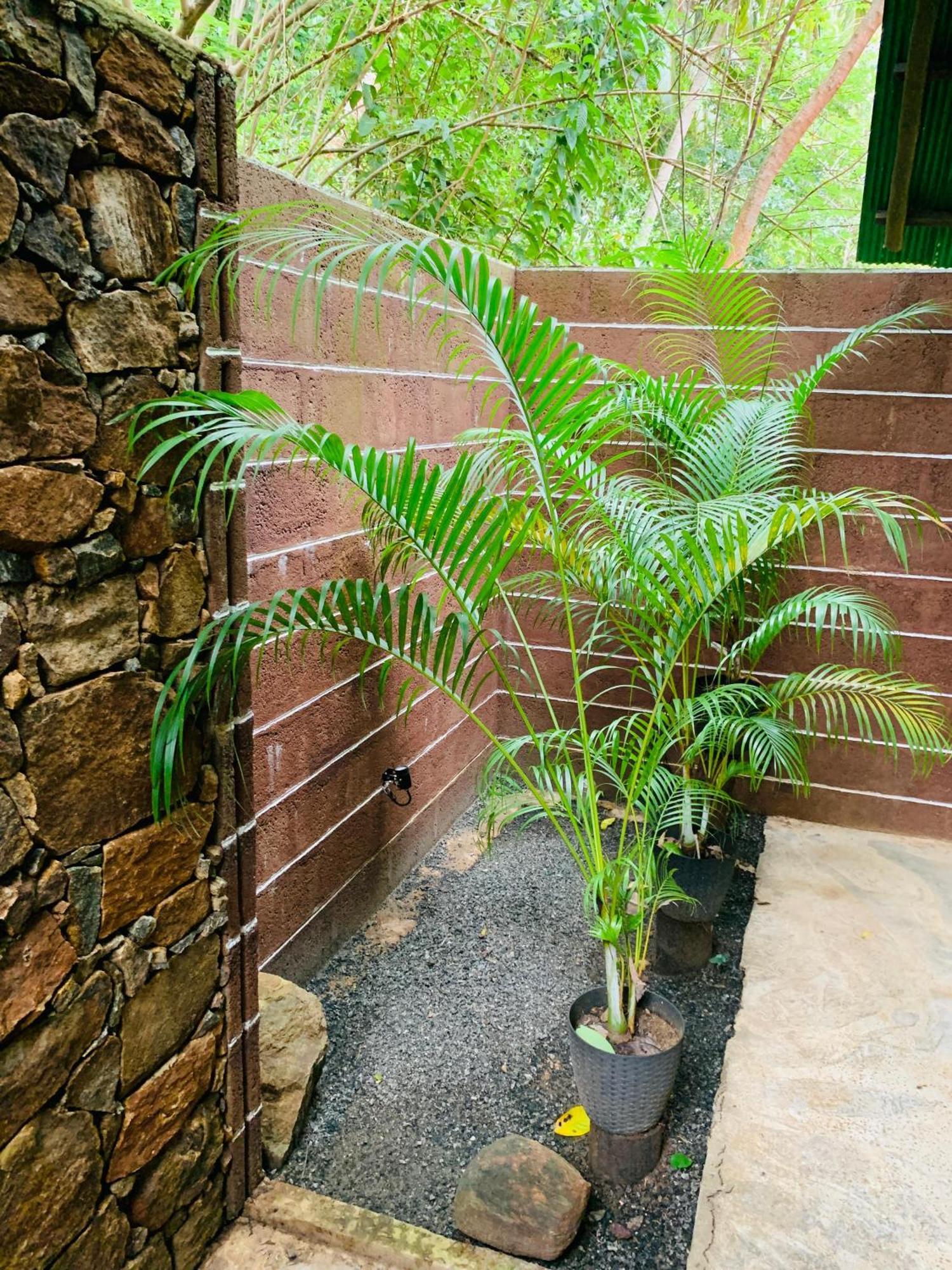 Coconut Tree House Hotel Udawalawe Luaran gambar